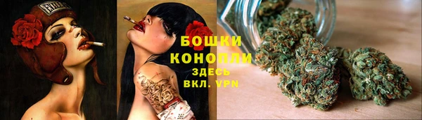spice Пересвет
